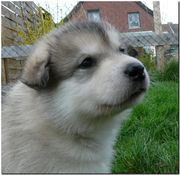 E Wurf 5 Woche 599.jpg